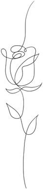 line art flower rose
